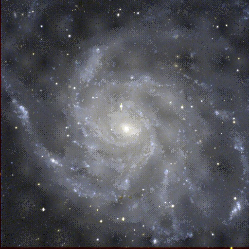 m101.gif (62125 bytes)