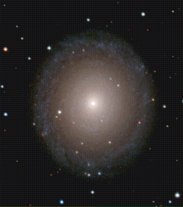 ngc7217.gif (25634 bytes)