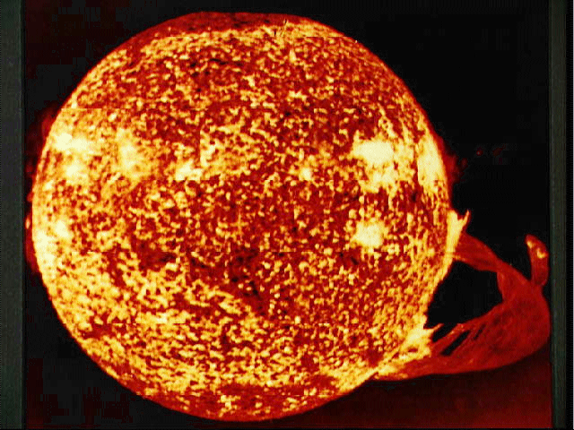 sun.gif (267913 bytes)